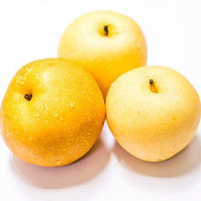 Load image into Gallery viewer, 20th Century (Nijisseiki) Asian Pear Tree