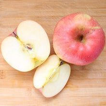 Load image into Gallery viewer, Anna Apple Tree