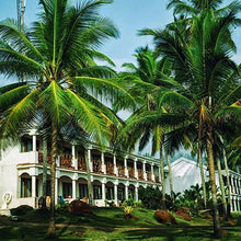 Load image into Gallery viewer, FALSE