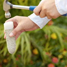 Load image into Gallery viewer, MiracleGro® Fruit Spikes