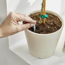 Load image into Gallery viewer, MiracleGro® House Plant Spikes
