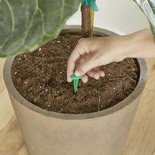 Load image into Gallery viewer, MiracleGro® House Plant Spikes
