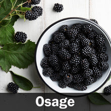 Load image into Gallery viewer, 3 in 1 Thornless Blackberry