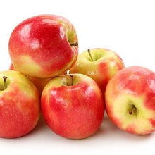 Load image into Gallery viewer, Pink Lady® Apple Tree