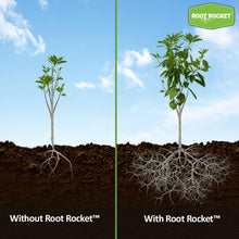 Load image into Gallery viewer, Root Rocket® Fertilizer