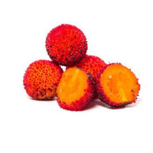 Load image into Gallery viewer, Marina Strawberry Tree
