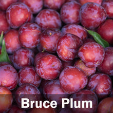 Load image into Gallery viewer, Fruit Cocktail Tree
