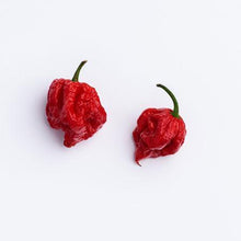 Load image into Gallery viewer, Carolina Reaper Pepper Plant - USDA Organic
