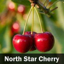Load image into Gallery viewer, 5-in-1 Cherry Tree
