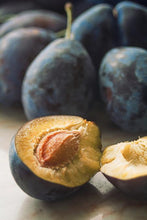Load image into Gallery viewer, French Prune Tree
