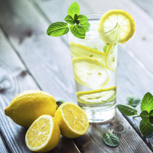 Load image into Gallery viewer, Genoa (Italian) Lemon Tree
