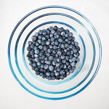Load image into Gallery viewer, Premier Blueberry Bush - USDA Organic
