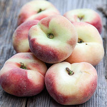 Load image into Gallery viewer, Donut Stark Saturn Peach Tree
