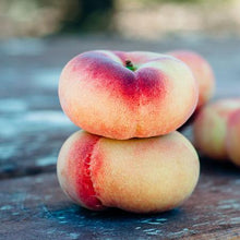 Load image into Gallery viewer, Donut Stark Saturn Peach Tree
